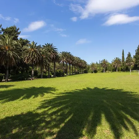 Apartment Apartments Anka